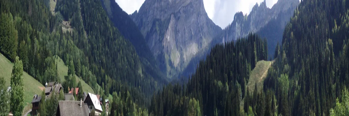 Image Monte escalier Bellevaux