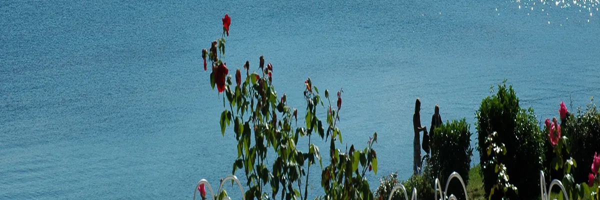 image-monte-escalier-excenevex.webp Image Monte escalier Excenevex