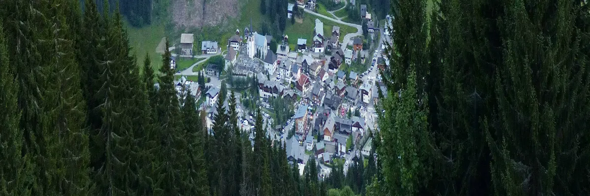 Image Monte escalier Les Gets