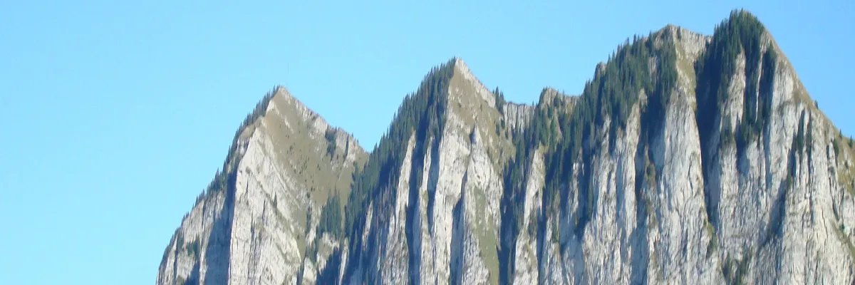 image-monte-escalier-thollon-les-memises.webp Image Monte escalier Thollon-les-Mémises