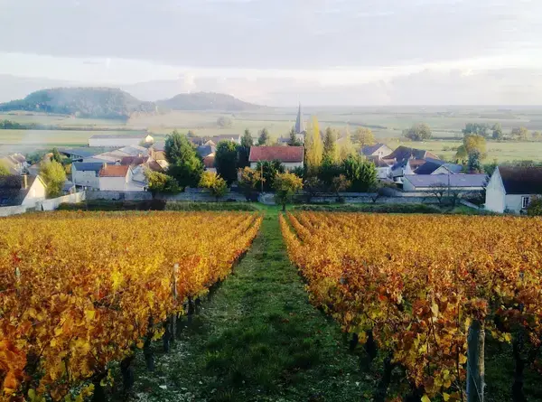 Monte Escalier 74 Monte escalier Massingy